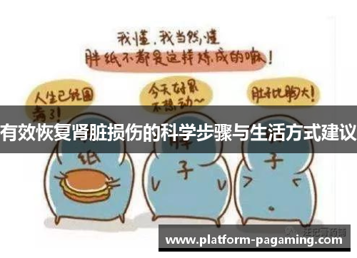 有效恢复肾脏损伤的科学步骤与生活方式建议 有效恢复肾脏损伤的科学步骤与生活方式建议
