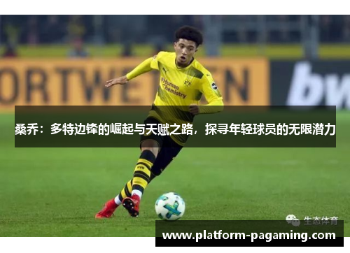 桑乔:多特边锋的崛起与天赋之路,探寻年轻球员的无限潜力 桑乔:多特边锋的崛起与天赋之路,探寻年轻球员的无限潜力