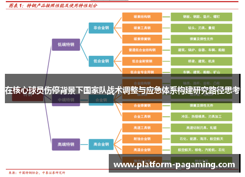 在核心球员伤停背景下国家队战术调整与应急体系构建研究路径思考