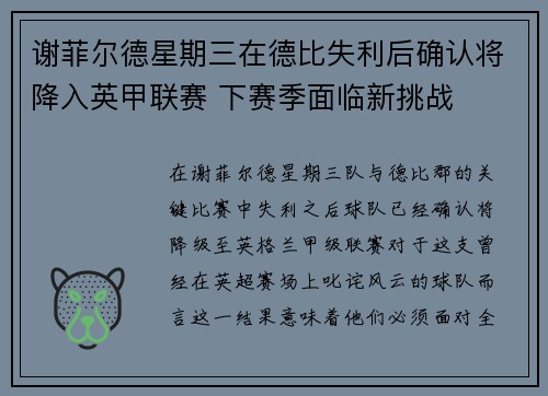 谢菲尔德星期三在德比失利后确认将降入英甲联赛 下赛季面临新挑战